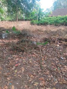 Image of 3659 Sq.ft Residential Plot / Land for sale in Chembukkav, Thrissur for Rs. 19300000