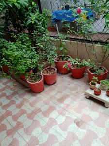 Balcony Image of 1850 Sq.ft 4 BHK Independent House for sale in Saiyed Vasna Vadodara for Rs. 7000000
