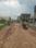 Dharitri New Royal Enclave Internal Roads 1
