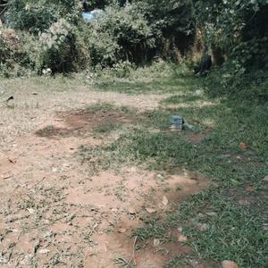 Image of 1214 Sq.ft Residential Plot / Land for sale in Koliyakode, Thiruvananthapuram for Rs. 7500000