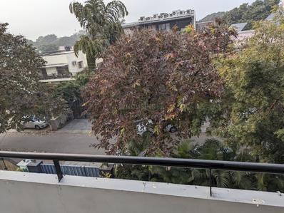 Balcony Image of 3000 Sq.ft 2 BHK Builder Floor for rent in Sector 16 Chandigarh for Rs. 50000