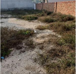 Dhillon Nagar Plot View 3