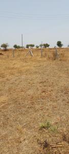 Image of 16335 Sq.ft Residential Plot / Land for sale in Shirur, Pune for Rs. 9000000