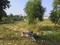 Sector 95 Plot View 2