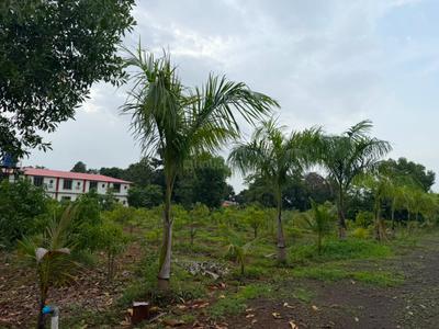 Image of 40000 Sq.ft Residential Plot / Land for sale in Murbad, Thane for Rs. 7500000