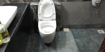 Bathroom Image of 1800 Sq.ft 3 BHK Apartment / Flat for sale in Paradise Sai World Empire Phase 1, Kharghar Navi Mumbai for Rs. 30000000