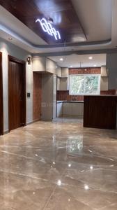 Hall Image of 2300 Sq.ft 4 BHK Builder Floor for sale in Sector 23 Gurgaon for Rs. 35500000