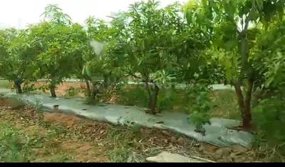 Image of 605 Sq.ft Residential Plot / Land for sale in Shamirpet, Hyderabad for Rs. 6050000