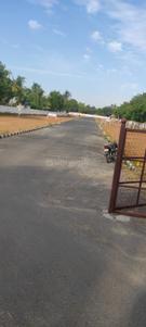 Image of 1200 Sq.ft Residential Plot / Land for sale in Trichy, Tiruchirappalli for Rs. 1282500