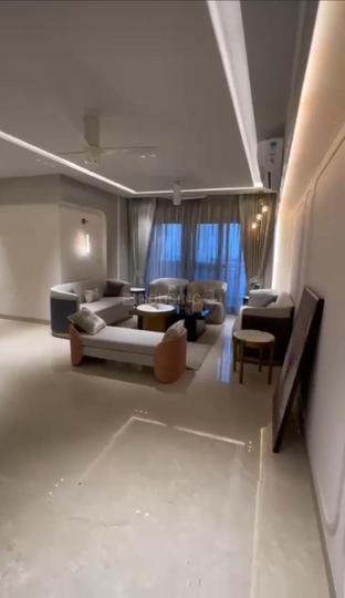 Palmera Main Image 1