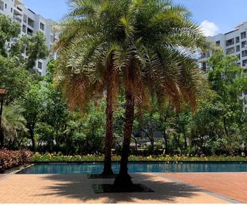 Image of 1500 Sq.ft 3 BHK Apartment / Flat for sale in Pride Purple Park Titanium, Wakad, Pune for Rs. 27500000