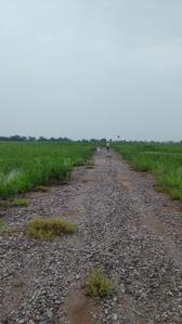 Image of 50 Sq.ft Residential Plot / Land for sale in Silani, Gurgaon for Rs. 750000