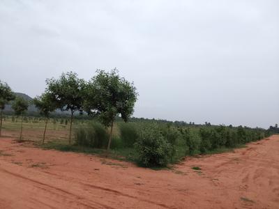Image of 900 Sq.ft Residential Plot / Land for sale in Chieerupalle, Vizianagaram for Rs. 400000