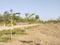 Kanchipuram Main Image 1