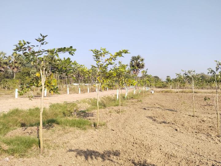 Kanchipuram Main Image 1
