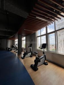 Image of 1300 Sq.ft 2 BHK Apartment / Flat for rent in Sattva Park Cubix Phase 1, Devanahalli, Bengaluru for Rs. 90000