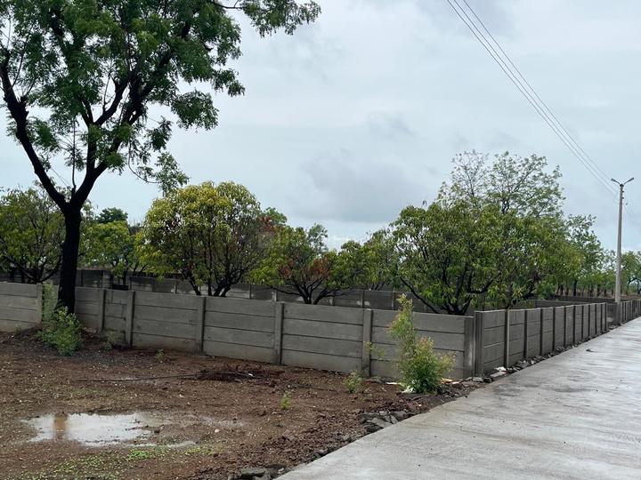 Uruli Kanchan Main Image 1