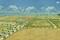 Landchester sector 102 Plot View 2