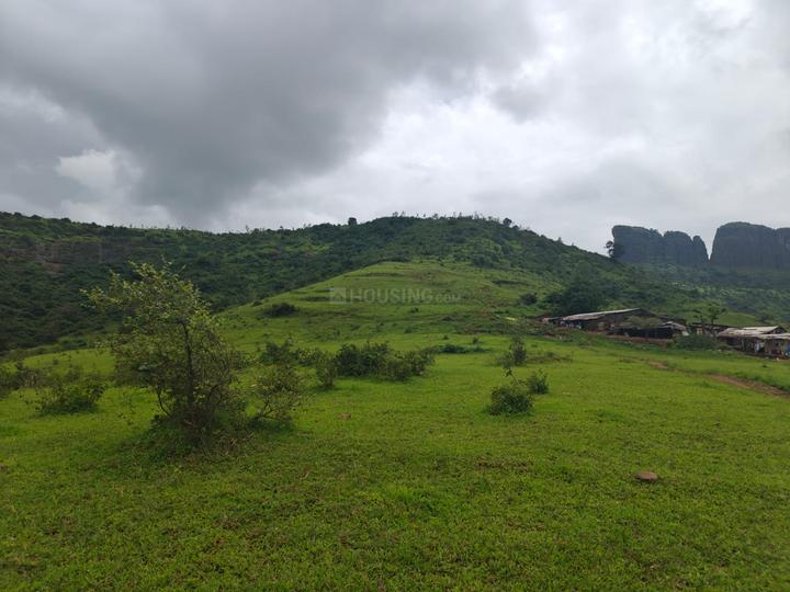 Trimbak Main Image 1