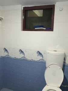 Bathroom Image of 1500 Sq.ft 2 BHK Builder Floor for rent in Gomti Nagar Lucknow for Rs. 15500