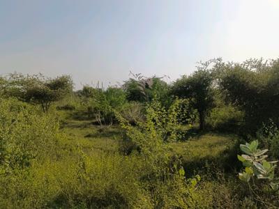 Image of 60 Sq.ft Residential Plot / Land for sale in Sector 34 Rohini, New Delhi for Rs. 16000000