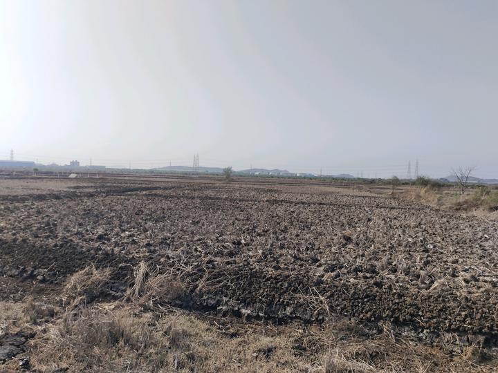 Mahamumbai Plots In Vindhane Main Image 1