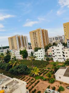 Image of Pro Haven Luxury PG for Men in Kattigenahalli, Bengaluru