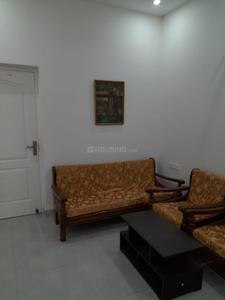 Hall Image of 585 Sq.ft 1 BHK Apartment / Flat for rent in S P Nx One, Noida Extension Greater Noida for Rs. 20000