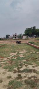Image of 800 Sq.ft Residential Plot / Land for sale in North Malaka, Allahabad for Rs. 2650000