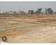 Rajendra Niketan NX Plot View 2