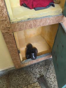Bathroom Image of 180 Sq.ft 1 RK Independent House for rent in Vasundhara Ghaziabad for Rs. 15000