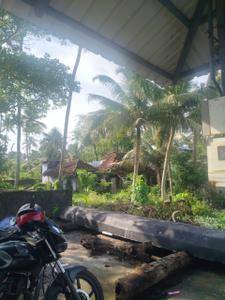 Image of 5226 Sq.ft Residential Plot / Land for sale in Panangad, Kochi for Rs. 14400000