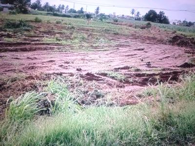 Image of 1089 Sq.ft Residential Plot / Land for sale in Panvel, Navi Mumbai for Rs. 392000