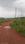 Patrapada Plot View 2