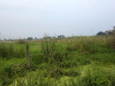 Image of 1440 Sq.ft Residential Plot / Land for sale in Wander Valley, Joka, Kolkata for Rs. 533300