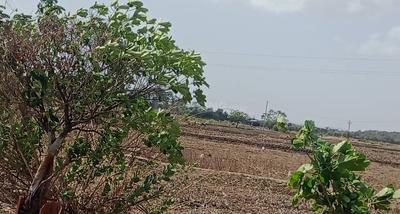 Image of 1089 Sq.ft Residential Plot / Land for sale in Ranjanpada, Navi Mumbai for Rs. 600000