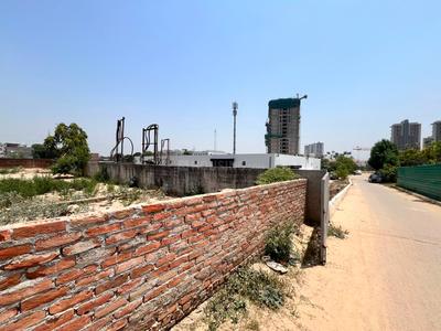 Badhamau Plot View 3