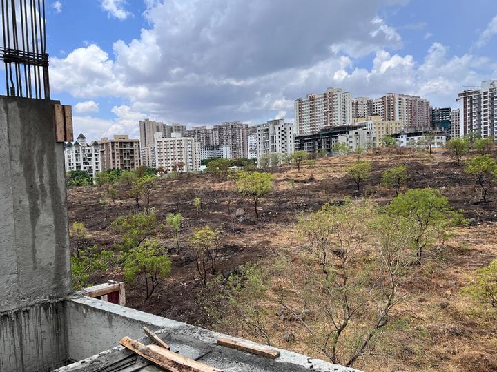 Mohammed Wadi Main Image 1