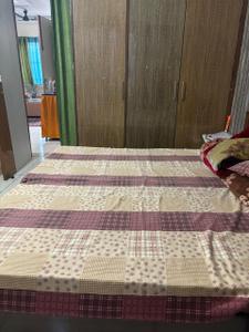 3 BHK Independent House