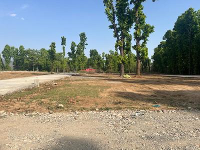 Raipur Plot View 2