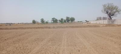 Image of 966 Sq.ft Residential Plot / Land for sale in Kasindra, Ahmedabad for Rs. 20000000