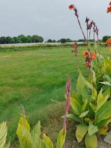 Image of 1287 Sq.ft Residential Plot / Land for sale in Dameera City, Maujpur, Faridabad for Rs. 12300000