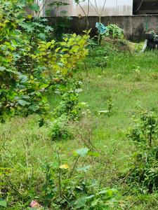 Image of 3250 Sq.ft Residential Plot / Land for sale in New Town, Kolkata for Rs. 60000000