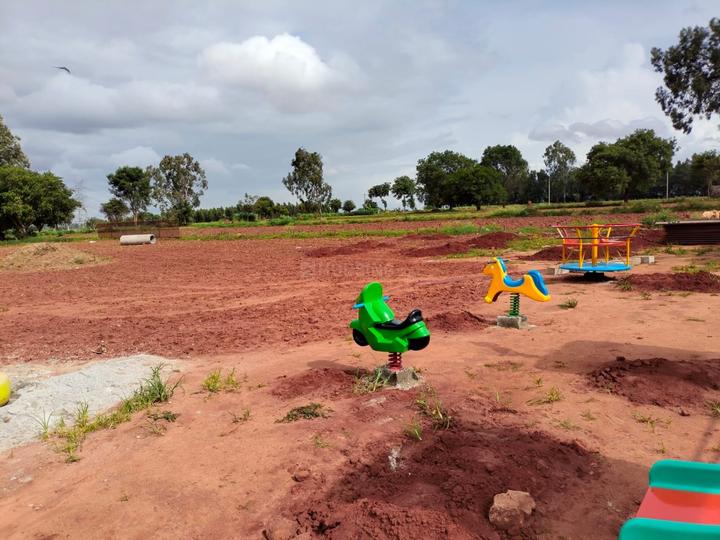 Judicial habitat Main Image 1