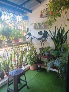 Balcony Image of 1270 Sq.ft 2 BHK Villa for sale in Porvorim Goa for Rs. 14000000