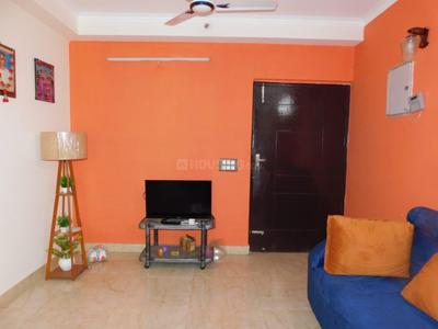 Hall Image of 2100 Sq.ft 4 BHK Apartment / Flat for rent in Pigeon Spring Meadows, Noida Extension Greater Noida for Rs. 50000