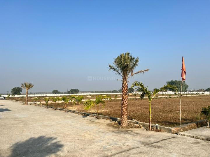 Corbett ultima Main Image 1