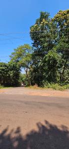 Image of 1444 Sq.ft Residential Plot / Land for sale in Assagao, Goa for Rs. 187720000