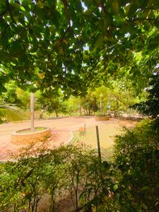Image of 1000 Sq.ft 2 BHK Apartment / Flat for sale in Goel Estoria, Undri, Pune for Rs. 6500000