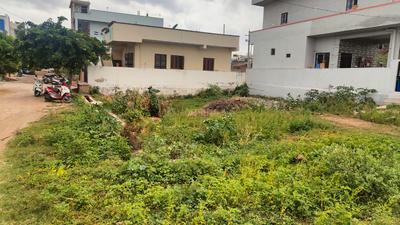 B. Thandrapadu Plot View 2